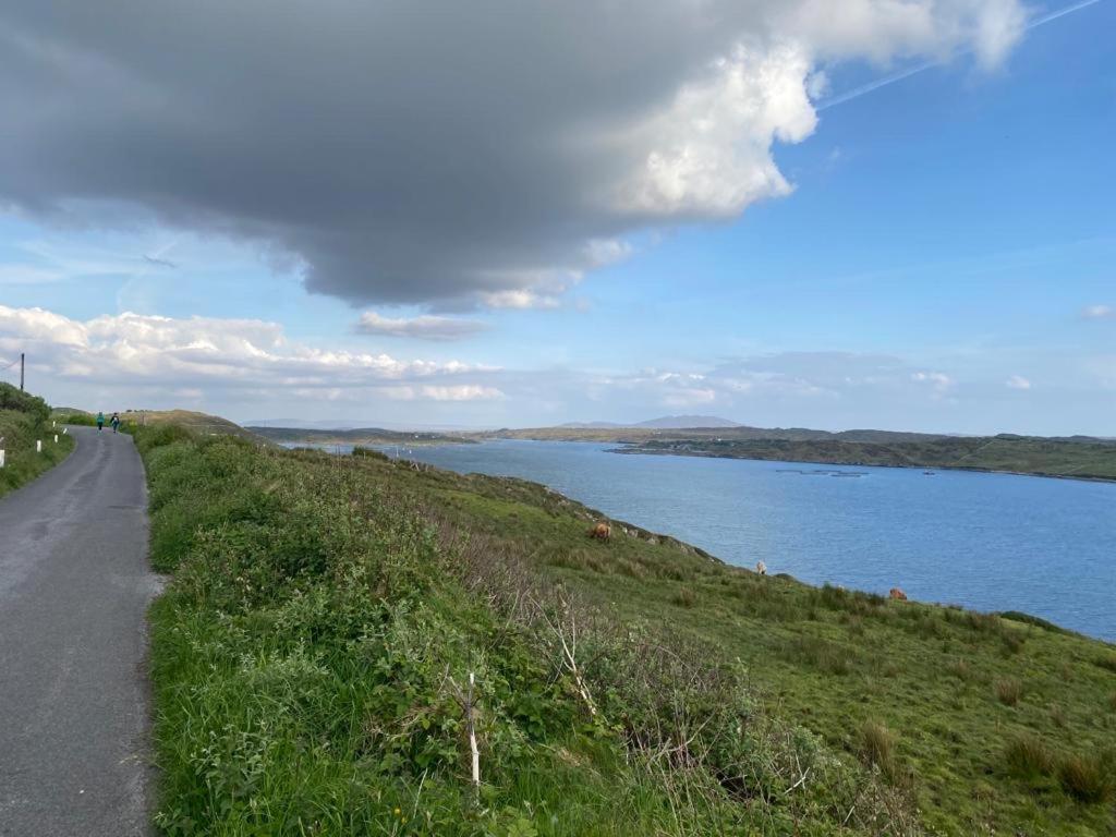 Racecourse Lodge Apartment Clifden Luaran gambar